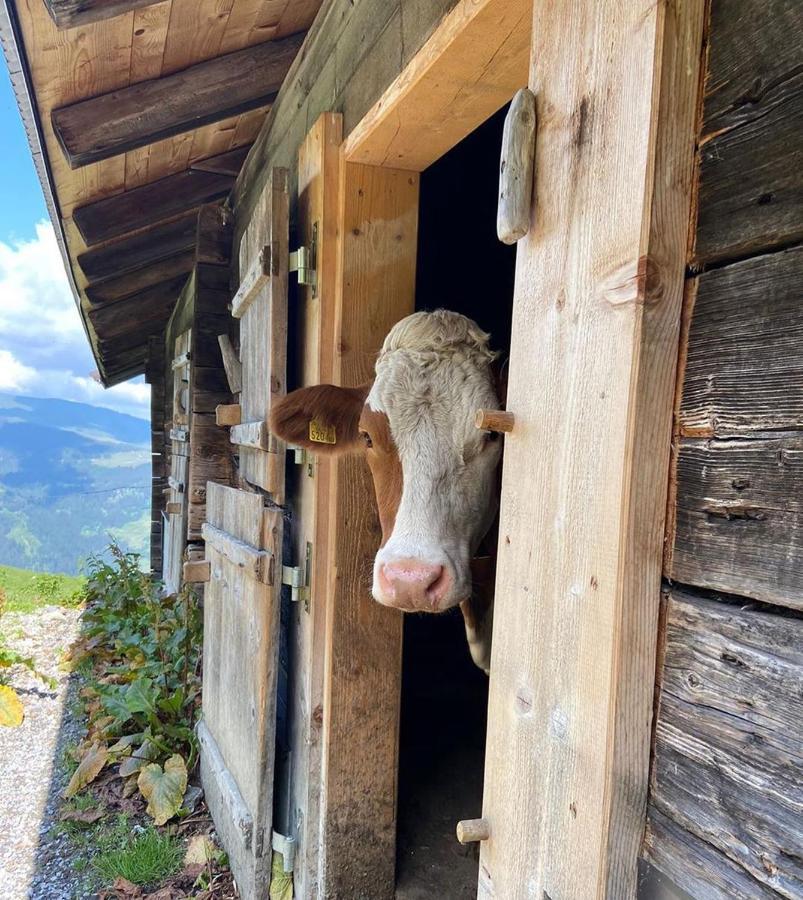 Luxury Chalet Mauthner Alm ケットシャッハ＝マウテン エクステリア 写真